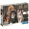 Image de Lovely Kittens Puzzle Compact 1000 Pieces
