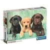 Image de Puzzle Trois labradors 1000 pièces