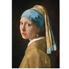 Image de Puzzle Compact 1000 pièces : Vermeer - La Jeune Fille à la Perle