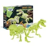 Image de T-Rex et Tricératops Paléontologie Squelettes Phosphorescents Dès 7 Ans en occasion ou reconditionné