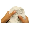 Image de Createur de talents - Recharge DArgile 1Kg - Loisirs creatifs