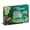 Image de Jeu de sciences et d'expérience La cité des fourmis