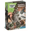 Image de Fossiles Et Mineraux