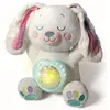 Image de Mon Lapin Polaire - Projecteur D'aurores Boreales