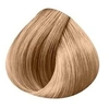 Image de Colorations d'oxydation avec ammoniaque, 10/31 : blond très très clair doré cendré, 60ml,, femme