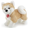 Image de peluche chien Akita Ascanio