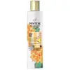 Image de Pantene Shampooing Miracle 225ml One Size