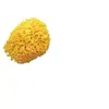 Image de Eponge Naturelle - - Mixte - Jaune - Confort - Sécurité