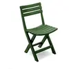 Image de Chaise pliante en résine couleur vert BIR80CVE