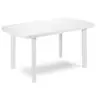 Image de Table Ovale en résine blanche FAR036BI