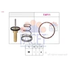 Image de Thermostat, Liqiuide De Refroidissement Made In Italy - Oe Equivalent 7.8798 Facet Facet 7.8798 Opel;Suzuki;Vauxhall