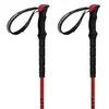 Image de Ferrino Bâtons Stick Nuptse