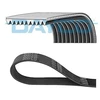 Image de Courroie Trapézoïdale En Poly Dayco 10pk2495hd