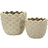 Image de Lot de 2 Cache-Pots en Céramique "Pepitas" 23cm Gris & Or