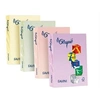 Image de FAVINI HOME-OFFICE BASIC Le Cirque - Jaune - A4 (210 x 297 mm) - 80 g/m² - 500 feuille(s) papier uni