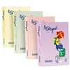 Image de FAVINI HOME-OFFICE BASIC Le Cirque - Saumon - A4 (210 x 297 mm) - 80 g/m² - 500 feuille(s) papier uni