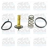 Image de Thermostat, Liquide De Refroidissement Meat & Doria 92877 Ford