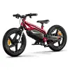 Image de Draisienne Électrique Enfant E-moto Kids Ducati