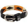 Image de Equestro Collier De Chien Polo N 55 cm