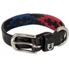 Image de Equestro Collier De Chien Polo S 55 cm