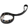 Image de Equestro Laisse Pour Chien Polo H One Size