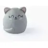 Image de Gomme parfumee - Meow