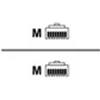 Image de Ewent - Cordon de raccordement - RJ-45 (M) pour RJ-45 (M) - 5 m - UTP - CAT 6 - moulé - noir