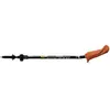 Image de Fizan Bâtons Walx Xplorer 58-127 cm
