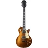 Image de Guitare électrique LS 300 Gold Single Cut