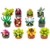 Image de Plante Exotique A Constuire