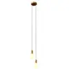 Image de Creative Cables Suspension Luminaire Multiple 2 Falls