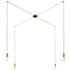 Image de Creative Cables Suspension Luminaire Spider 4 Falls With Light Bulb
