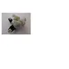 Image de Electrovanne double pour lave-linge