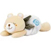 Image de Peluche Chauffante Ourson