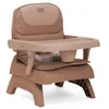 Image de Chicco Bento Rehausseur de Chaise pour Enfants, 6-36 Mois, Siège Repas Rehausseur de Table, Portable, Hauteur Réglable, Plateau Amovible, Fermeture Compacte, Coussin Doux Amovible, Lavable en Machine en occasion ou reconditionné