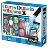 Image de Le Corps Humain Aux Rayons X Multicolore