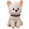 Image de Animal en peluche Chien Shiba 35cm - Blanc