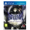 Image de Anima Gate of Memories PS4