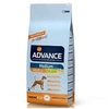 Image de Croquettes pour chiens medium adult sac 14 kg