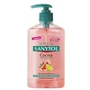 Image de Savon pour les Mains avec Doseur Antibacterias Kitchen (250 ml)