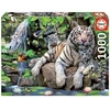 Image de puzzle 1000 pieces tigres blancs du bengale