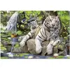 Image de Puzzle de 1000 pièces Educa Tigres Bengala Multicolore 27x37x5,8 cm 646899