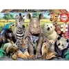 Image de Puzzle de 300 pièces Educa Animale Foto Clase Multicolore 23x30x4 cm 641069