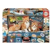 Image de 200 petits chats voyage