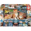 Image de Puzzle de 200 pièces Educa Gatitos Viajeros Multicolore 36x26x6 cm 637155