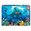Image de 500 GRAND REQUIN BLANC