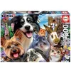 Image de Puzzle 500 pièces : Drôle de Selfie