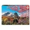 Image de Puzzle 2000 pièces Château d'Osaka