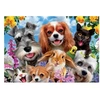 Image de Puzzle - 200 pièces - Le selfie des animaux - Chien - Chat - Dès 6 ans -