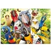 Image de Puzzle 500 pièces : Le Petit Oiseau Va Sortir